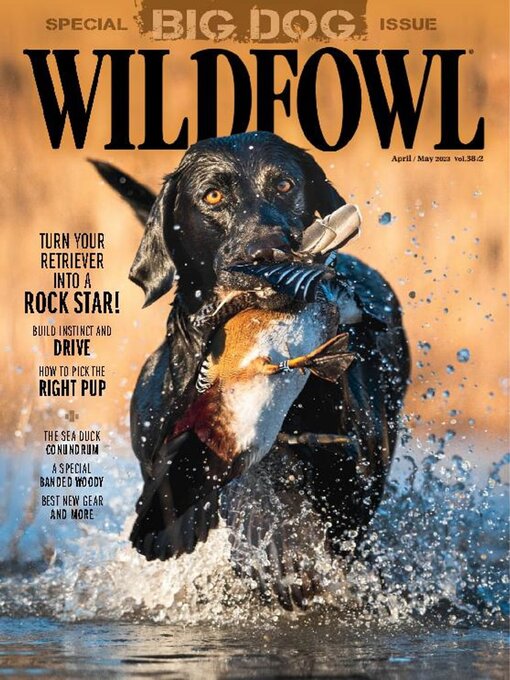 Title details for Wildfowl by KSE Sportsman Media, Inc. - Available